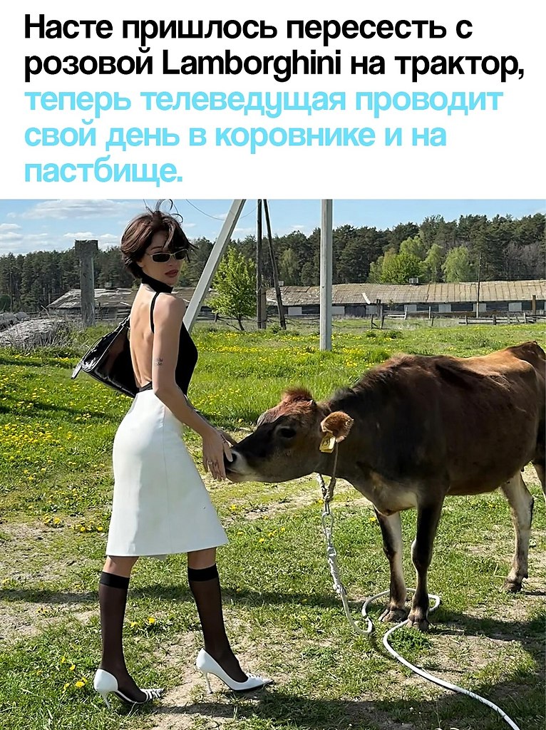   !           ... - 3