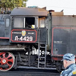 ���������, ������, 51 ���