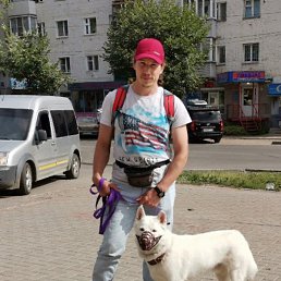 �����, ������������, 43 ����