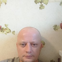 , 41 , 