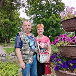 ������, 64 ����, ������