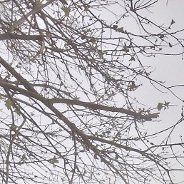 ����, ������, 49 ���