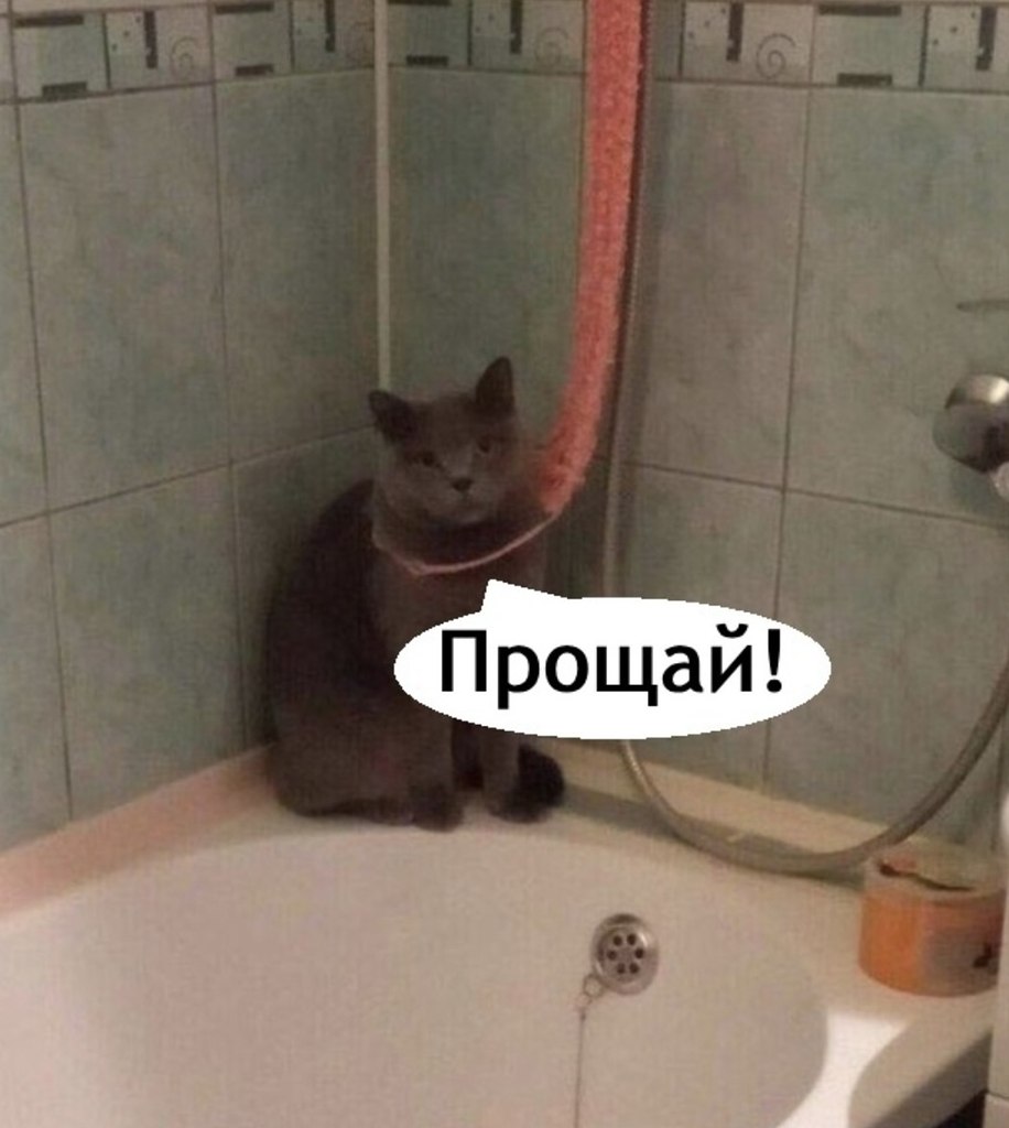    , ? - 5