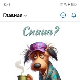 �����, ������, 53 ����