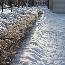 ���� �������, �����, 39 ��� - ��������� 23 ������ 2026 � ������ �������