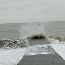 ���� ������, �����-���������, 50 ��� - ��������� 4 ����� 2026 � ������ ������ ��������