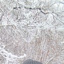 ���� ��������, �����������, 44 ���� - ��������� 2 ������� 2025 � ������ ���� ����������