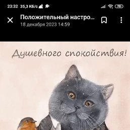 ���� ����, ������, 21 ��� - ��������� 11 ������ 2024