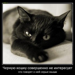 ���� �����, ������, 67 ��� - ��������� 26 ������� 2026