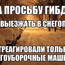 ���� �������, ��������, 55 ��� - ��������� 10 ��� 2025 � ������ ������ ��������