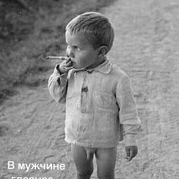 �������, ������, 51 ���