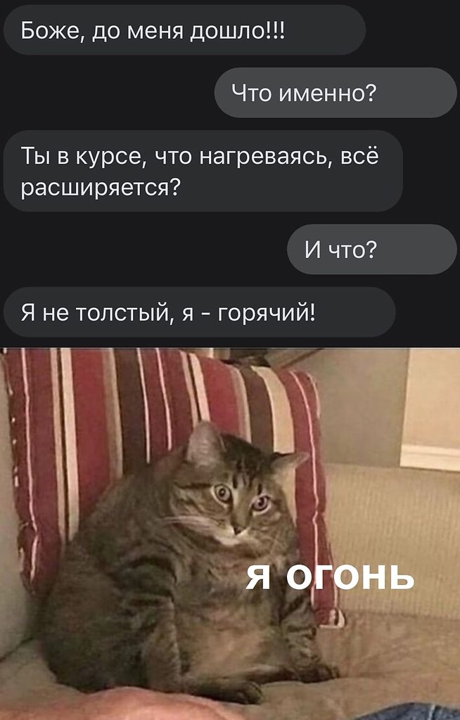 JPG - 6  2025  20:03