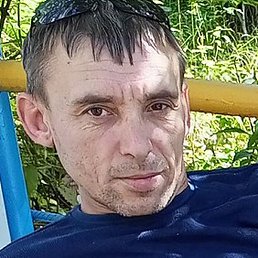 ����, �����-�������, 41 ���