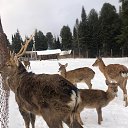 ���� ������, ��������, 56 ��� - ��������� 27 ������� 2023 � ������ ���� ����������