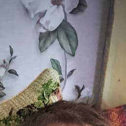 ������, 45 ���, ������