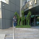 ���� �������, ������� �����, 50 ��� - ��������� 11 ������� 2024 � ������ ���� ����������