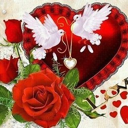 Nadira, �������� , 31 ���