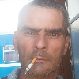 �������, �����