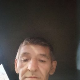 , 55, 