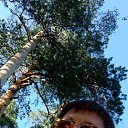 ���� ������, ���������, 41 ��� - ��������� 28 ������� 2023 � ������ ���� ����������