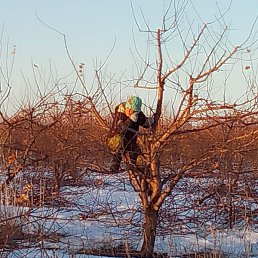 ������, �����������, 35 ���