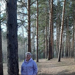 , 53, 