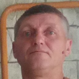 �����, �������, 46 ���