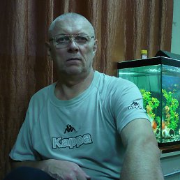 , 61 , 