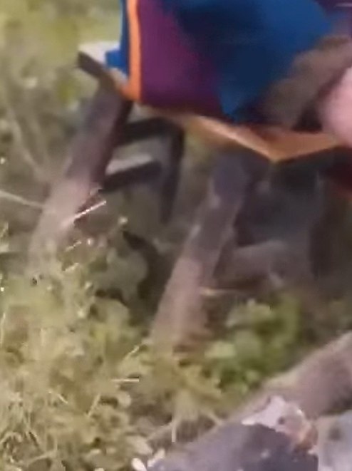 ��������� �����! �������� ����� ����� � ��� ��� ��� �������� - 2