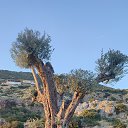 ���� �������, ������� - ��������� 3 ������� 2024