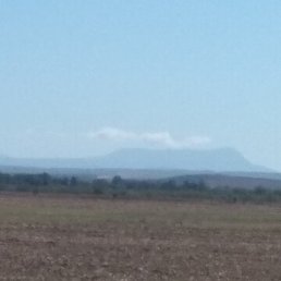 ��������, ����������, 66 ���