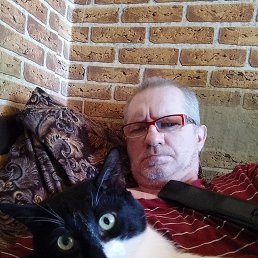 , 53, 