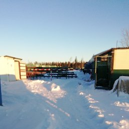 ���� ����, ��������, 56 ��� - ��������� 24 ������ 2025