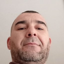 ����, ������, 44 ����