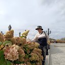 ���� ������ ������, ��������, 66 ��� - ��������� 27 ������� 2024