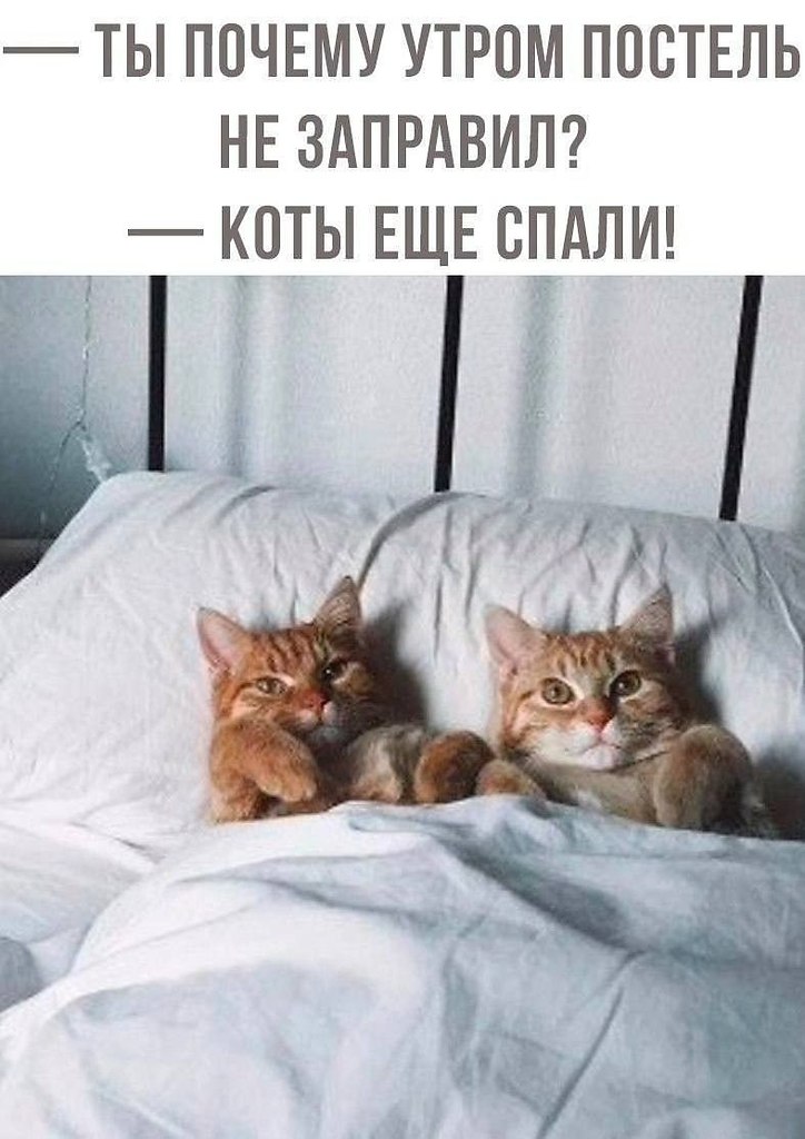 ��� ���� � ����� �� �� - 27 ������ 2026 � 22:55