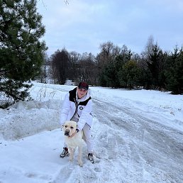 �����, ������, 41 ���