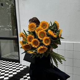 �����, ������, 26 ���