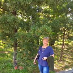 �������� �������, ������, 56 ���