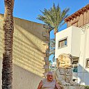 ���� Sov�, ������ - ��������� 8 ������ 2024 � ������ ���� ����������