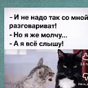 ���� ���-�, �����, 50 ��� - ��������� 25 ������ 2026 � ������ ���� ����������