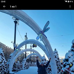 ����, �����-���������, 43 ����