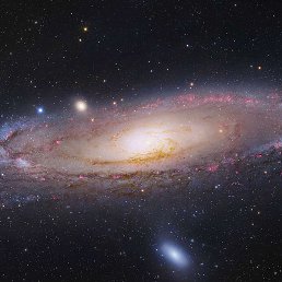 ������, ������-��-����, 40 ���