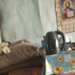 ���� ����, ����, 48 ��� - ��������� 1 ����� 2026