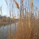 ���� �������, ��������� - ��������� 4 ������ 2025 � ������ ���� ����������