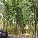 ���� ���������, ���������, 64 ���� - ��������� 15 ����� 2025