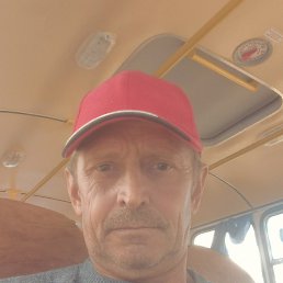 , 56, 