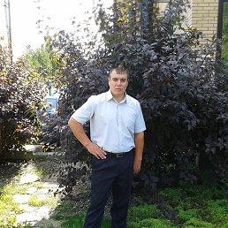 Андрей, 39, Воскресенск
