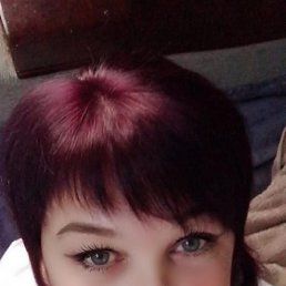 ����, 41 ���, ���������