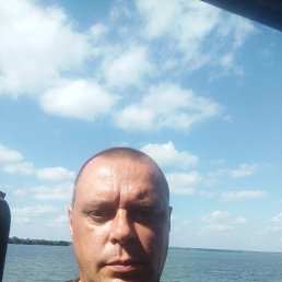, 44, 